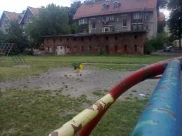 (Fot: czytelnik Adam)