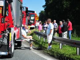 Ford zderzył się z autokarem, jedna osoba ranna