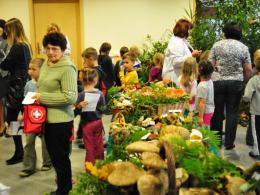Opolski sanepid uczy, jak rozpoznawać trujące grzyby