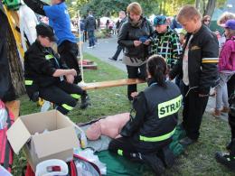 Opolanie bawili się na Pikniku Funduszy Europejskich