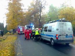 Autobus uderzył w drzewo, 6 osób trafiło do szpitala
