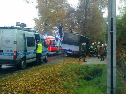 Autobus uderzył w drzewo, 6 osób trafiło do szpitala