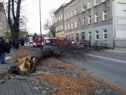 W Prudniku drzewo spadło na samochód