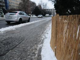 Specjalne osłony ochronią zieleń miejską przed solą