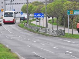 Specjalne osłony ochronią zieleń miejską przed solą