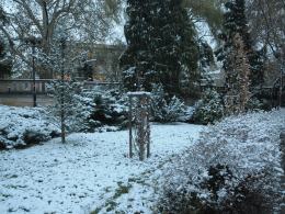 W Opolu spadł pierwszy śnieg
