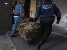 Celnicy zatrzymali busa z nielegalnym tytoniem