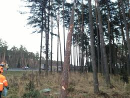 Groźne dachowanie na autostradzie A4
