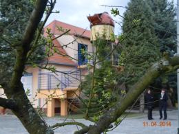 Dwa obserwatoria astronomiczne otworzono w Niwkach