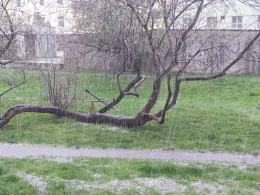 Gradobicie nad Opolszczyzną - zobacz zdjęcia czytelników