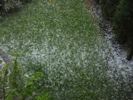 Burze z gradem przechodzą nad Opolszczyzną