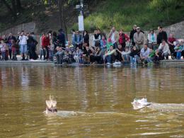 Dni Opola 2014. Pogoda dopisała, atrakcji też nie brakowało.