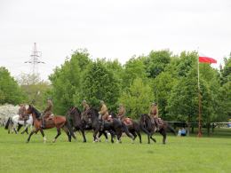 Ułani przypominają historię polskiej kawalerii