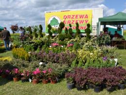 W Łosiowie trwa Wiosna Kwiatów