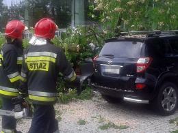 Drzewo spadło na samochód zaparkowany pod amfiteatrem