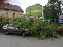 Silny wiatr przewrócił drzewo na samochód także w Głogówku.
