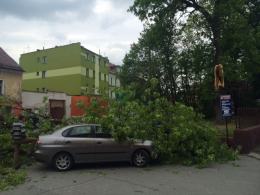 Drzewo spadło na samochód zaparkowany pod amfiteatrem