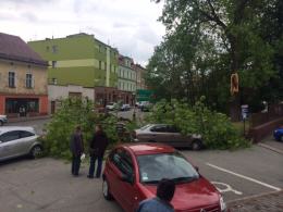 Drzewo spadło na samochód zaparkowany pod amfiteatrem