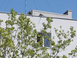 Strzelanina, pożar i akcja antyterrorystów. Ćwiczenia w centrum Opola.