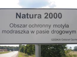 Natura 2000 na Opolszczyźnie. Motyl pod specjalną ochroną.