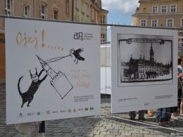 80 lat temu runęła wieża opolskiego ratusza