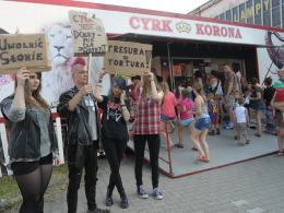 Młodzi opolanie protestowali przed występem cyrku