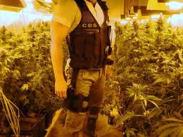 Policjanci z CBŚ zlikwidowali plantację konopi pod Opolem