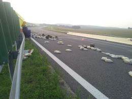 Przewrócona ciężarówka blokuje ruch na autostradzie