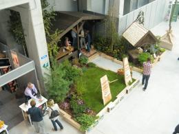 Moc zieleni i fachowych porad na targach Fiesta Garden