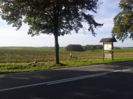 Nieprawidłowe zawracanie przyczyną wypadku motocyklisty