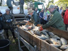 W Krogulnej trwa 4. Święto Karpia Opolskiego