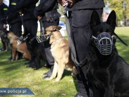 Opolski policjant najlepszym przewodnikiem psa w kraju