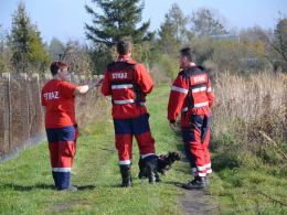 "Syn zabił ojca i uciekł". W Lewinie Brzeskim trwa policyjna obława.