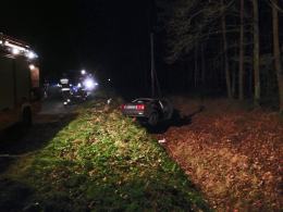 Kierowca audi uderzył w sarnę i dachował