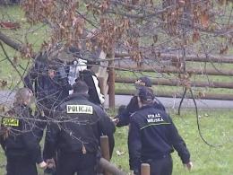 Strażnicy miejscy zatrzymali dilerów na placu zabaw