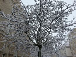 Pierwszy śnieg w Opolu. Ale tylko na dwa dni.