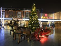 Ponad 30 zwierząt w Żywej Szopce w domEXPO