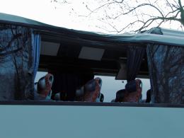 Konar drzewa spadł na autobus, jedna osoba jest ranna