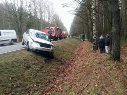 Volkswagen zderzył się z ciężarówką przewożącą świnie