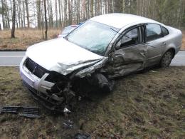 Volkswagen zderzył się z ciężarówką przewożącą świnie