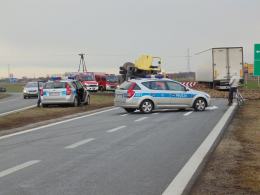 Buraki zablokowały drogę krajową 94 pod Brzegiem
