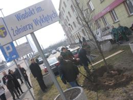 W Opolu zasadzono Drzewo Pamięci Żołnierzy Wyklętych