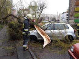 Silny wiatr przewraca drzewa na Opolszczyźnie