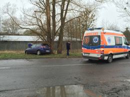 19-latek rozbił seata na drzewie próbując uniknąć zderzenia