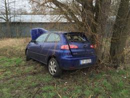 19-latek rozbił seata na drzewie próbując uniknąć zderzenia