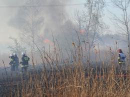 Ogromny pożar traw w Niemodlinie. W akcji samolot i helikopter.
