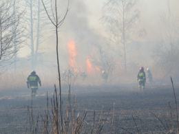 Ogromny pożar traw w Niemodlinie. W akcji samolot i helikopter.