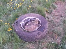 W autokarze jadącym autostradą wystrzeliła opona. 4 osoby w szpitalu.