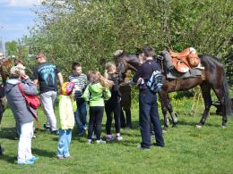 Trwa Piknik Kawaleryjski w parku na osiedlu AK