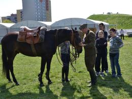 Trwa Piknik Kawaleryjski w parku na osiedlu AK
